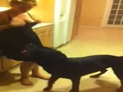 Dog sex as a hobby with a blonde wife